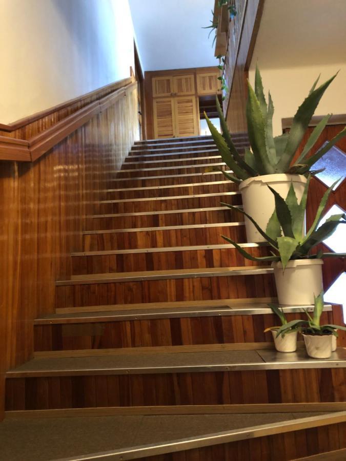 Apartman Olesnik Daire Dış mekan fotoğraf