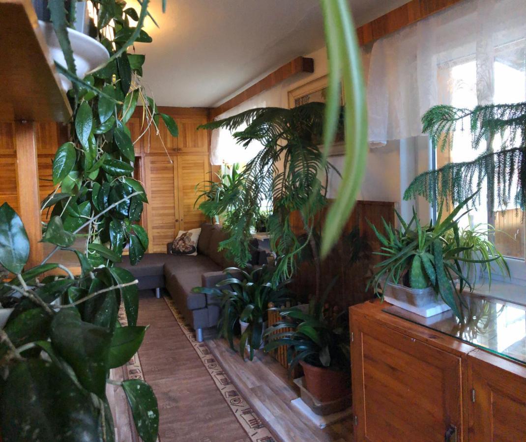 Apartman Olesnik Daire Dış mekan fotoğraf